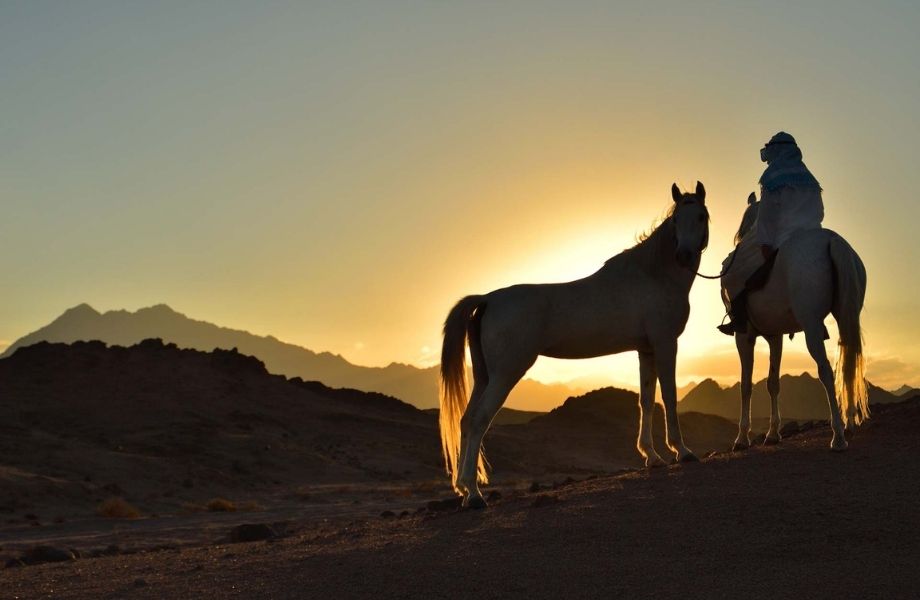 egypt-equestrian-dream-18-1223.jpg